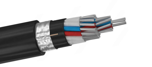 Кабель АКВВГЭнг-ХЛ 7х10