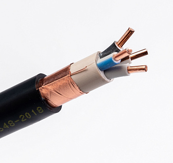 Кабель ВВГЭнг(A)-LS 4х95/50 - 1кВ