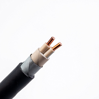 Кабель ВБШвнг(A)-ХЛ 2х2,5 - 1кВ